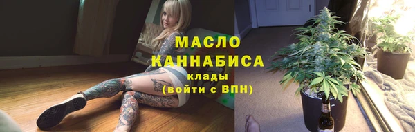 PSILOCYBIN Ельня
