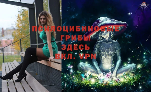 PSILOCYBIN Ельня