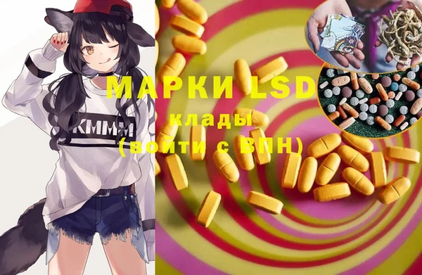 PSILOCYBIN Ельня