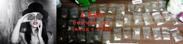 PSILOCYBIN Ельня