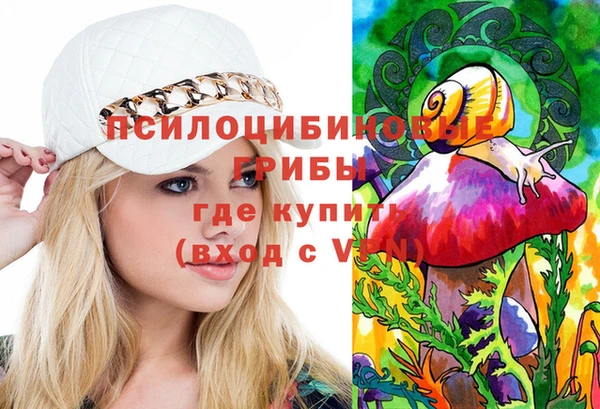 PSILOCYBIN Ельня