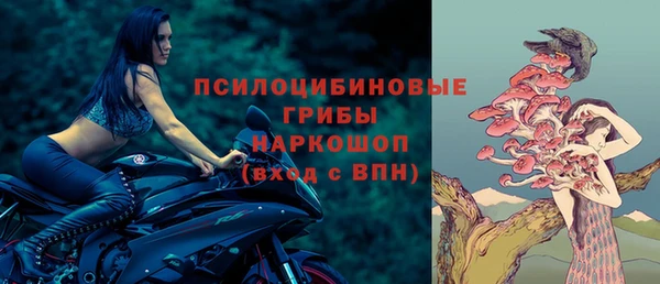 гашик Елабуга