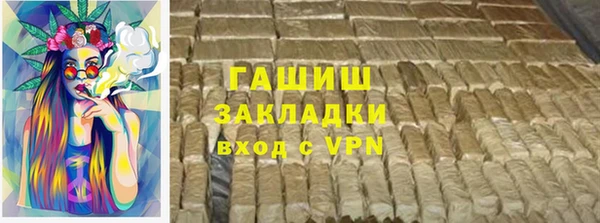 PSILOCYBIN Ельня