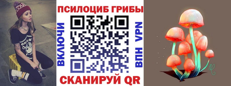 Псилоцибиновые грибы Cubensis  Дальнереченск 